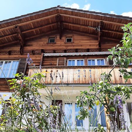 رينغنبرغ Cozy Chalet By Interlaken. Parking المظهر الخارجي الصورة